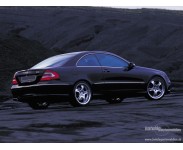 CLK W208