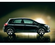 Auris 06-