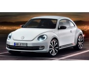 Beetle 2012-
