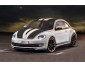 Beetle_Front_24e590c49b