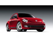 Beetle 2012-