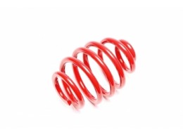 E36/E46 bakfjær, coilovers