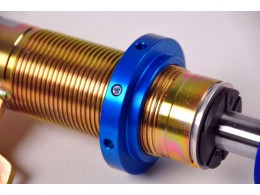 AP Spring Perch 52x3